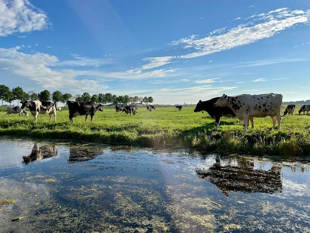 Broek in Waterland的民宿