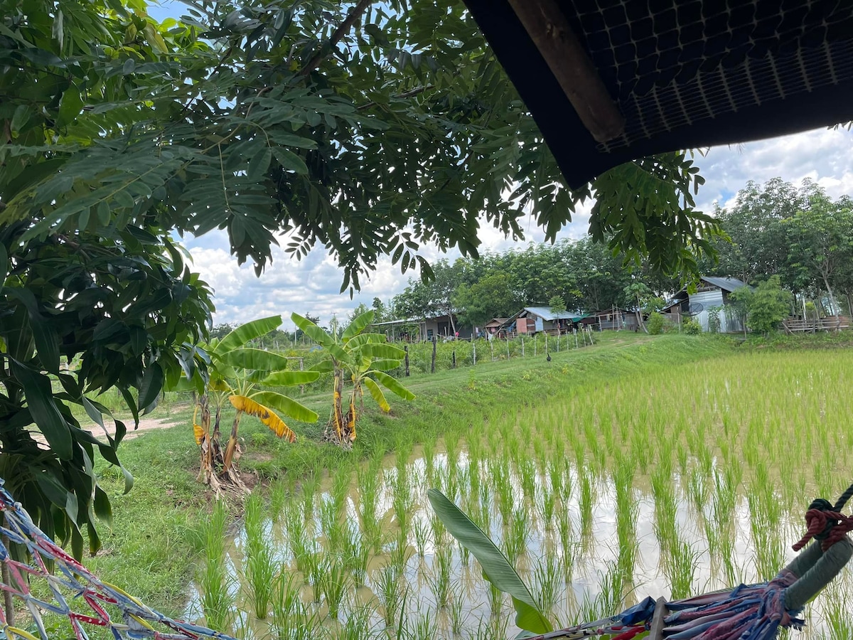 BanNaNgamFarmstayThailand