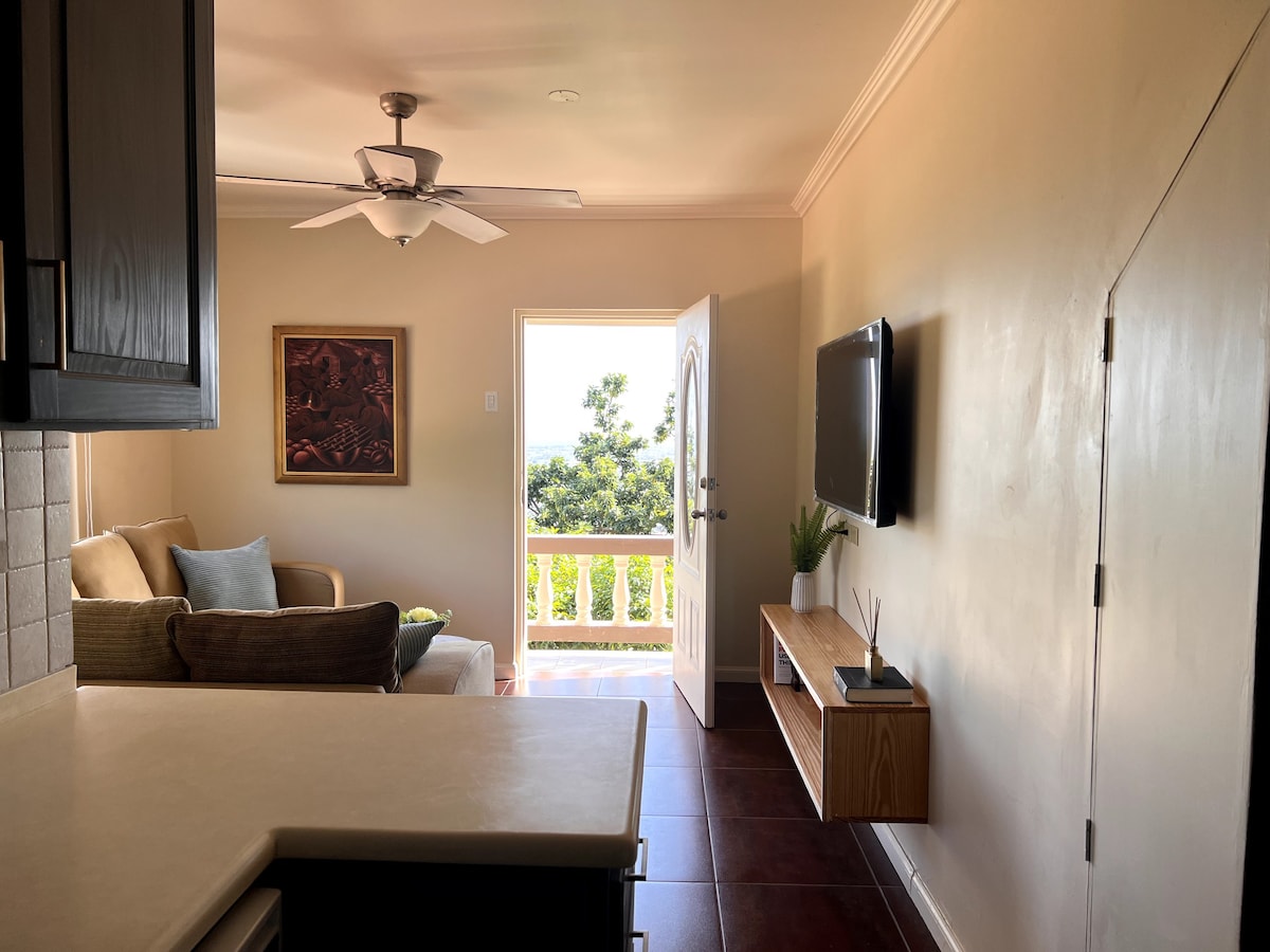 Peaceful 1BR apt in San Juan