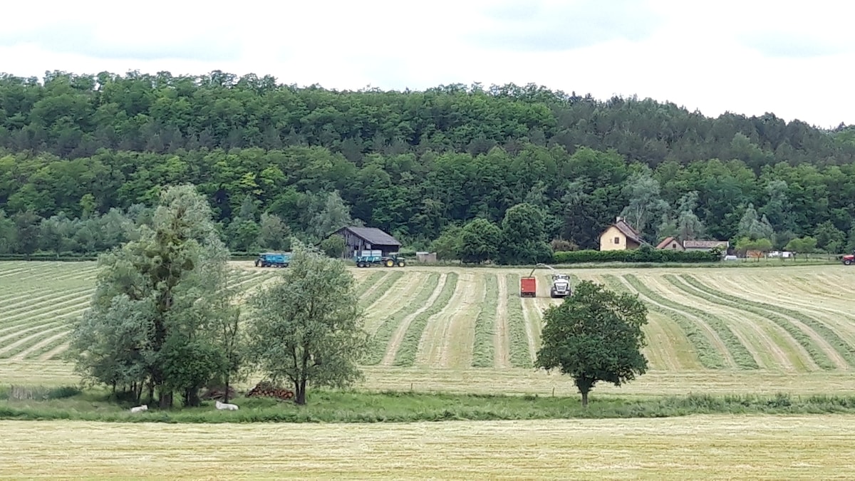 Agréable maison, accueil jusqu'à 5 personnes