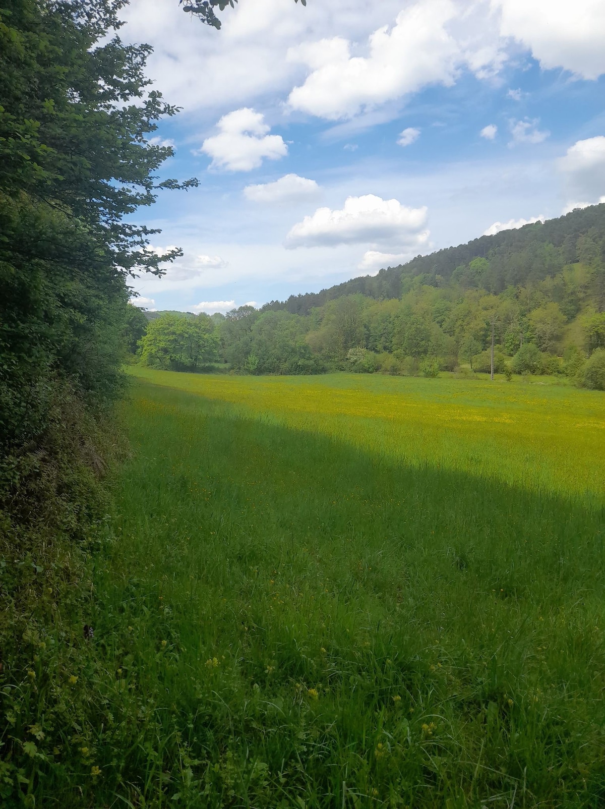 Camping proche des Eyzies au calme