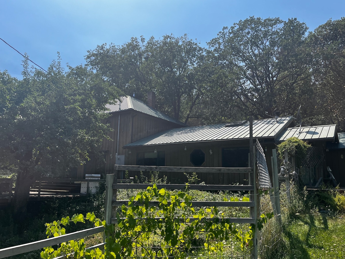 耶鲁溪牧场（ Yale Creek Ranch ）的乌节之家（ The Orchard House ）