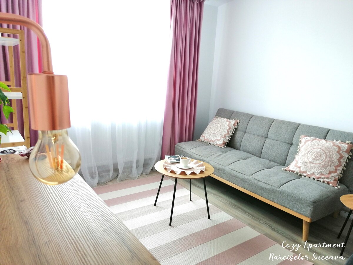 Cozy Apartment Narciselor Suceava