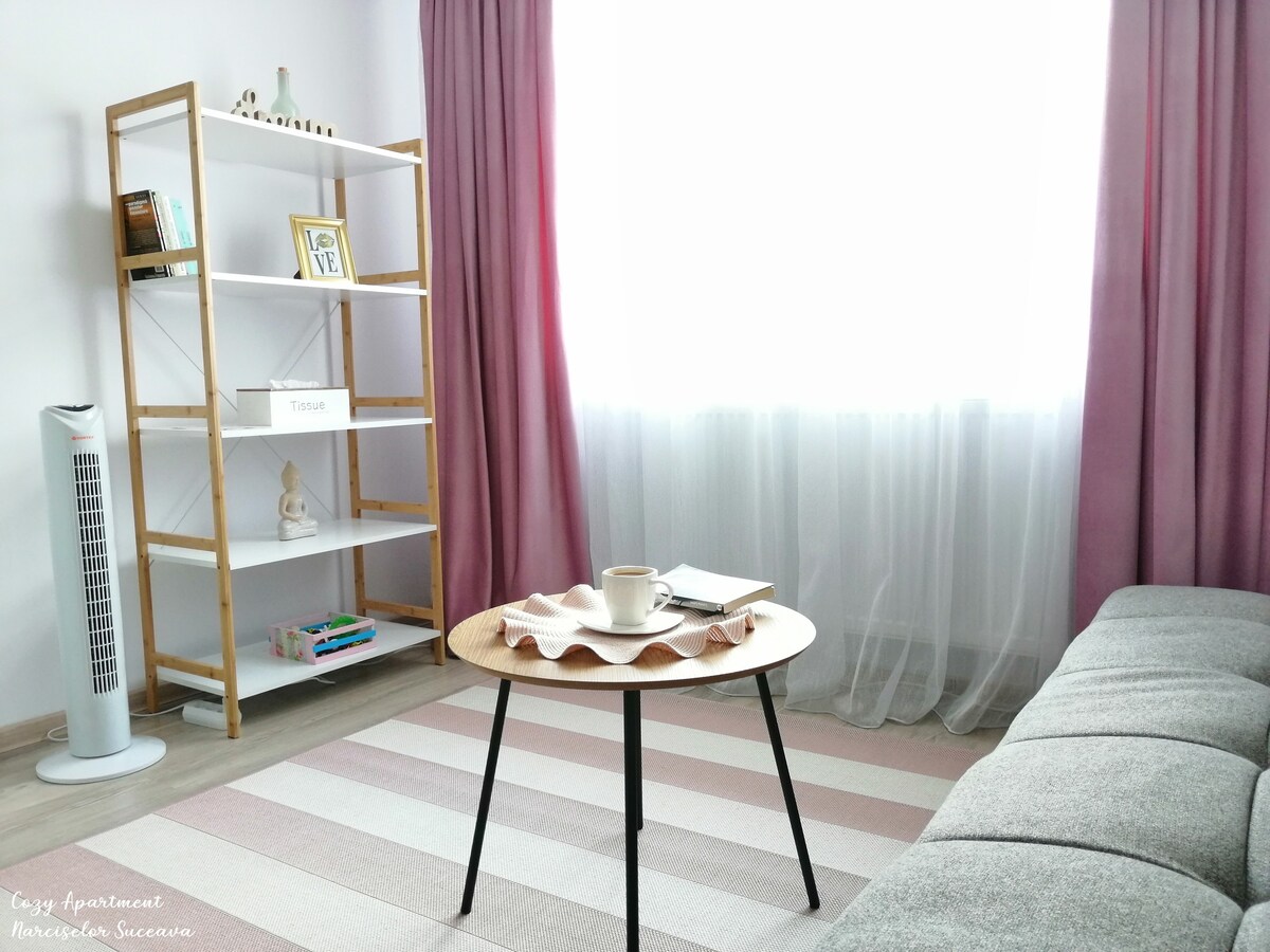 Cozy Apartment Narciselor Suceava
