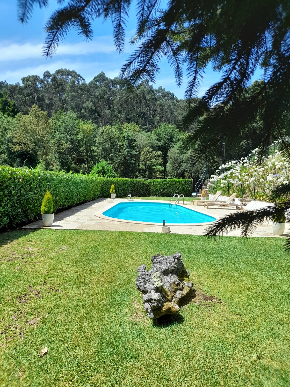 Casa do Ribeiro - Piscina & jardim exclusivos!