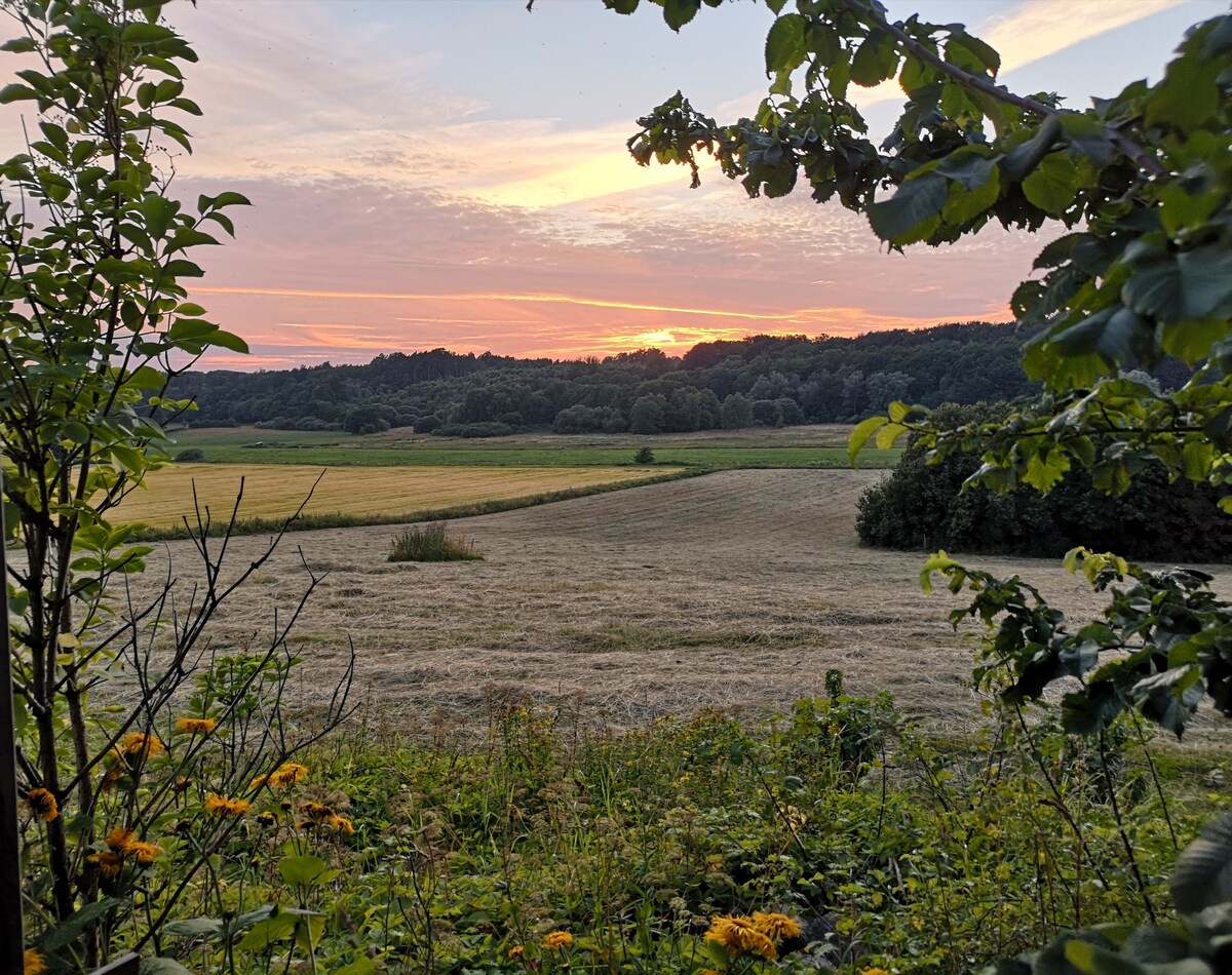 Gästhus i naturskön miljö på Österlen