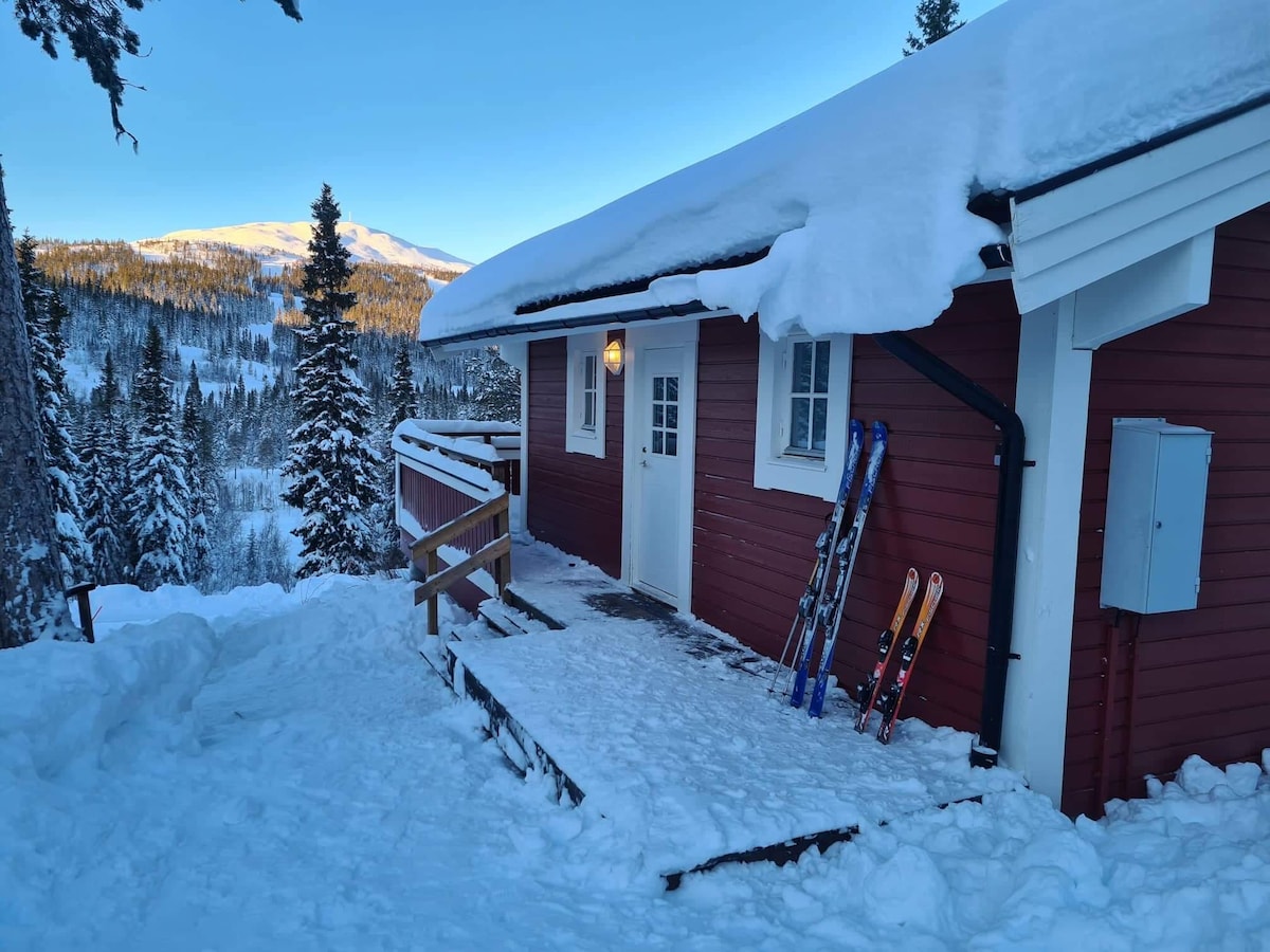 Stuga i Bydalen
Bydalsfjällen 
Jämtland