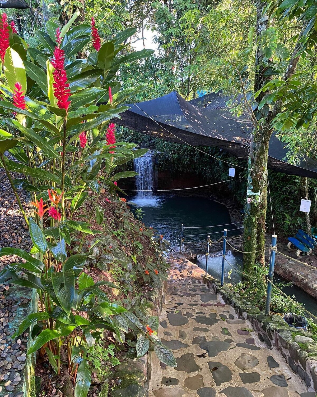 自然天堂-自然泳池庄园
