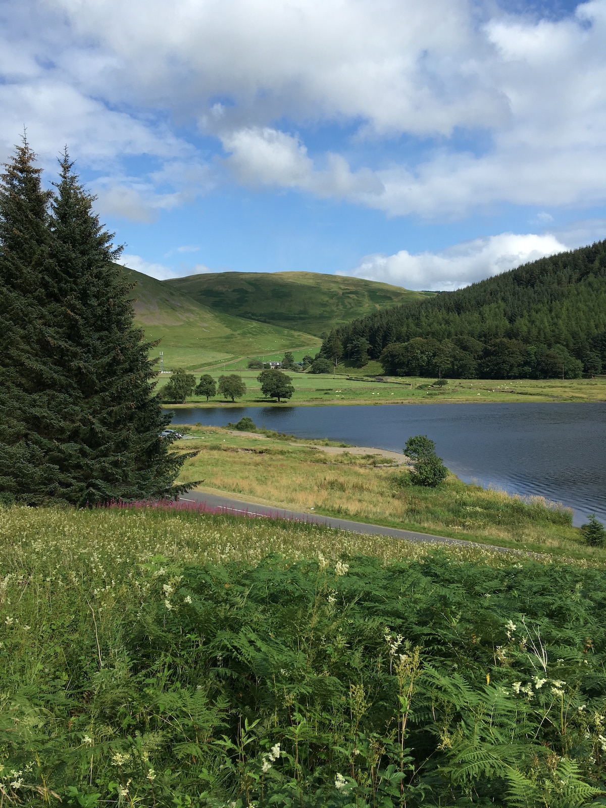 Comfortable Family Farmhouse by St Mary's Loch