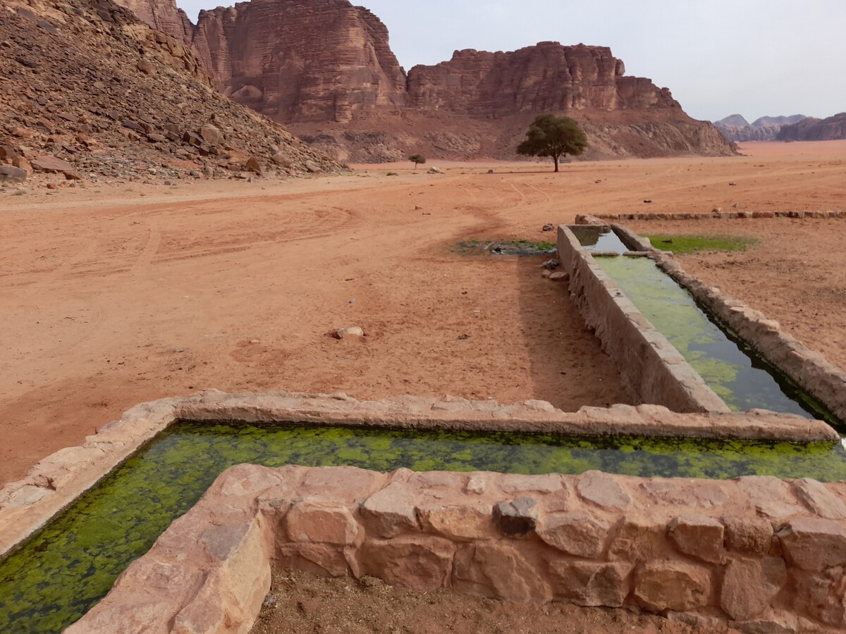 WADI RUM DESERT HEART CAMP