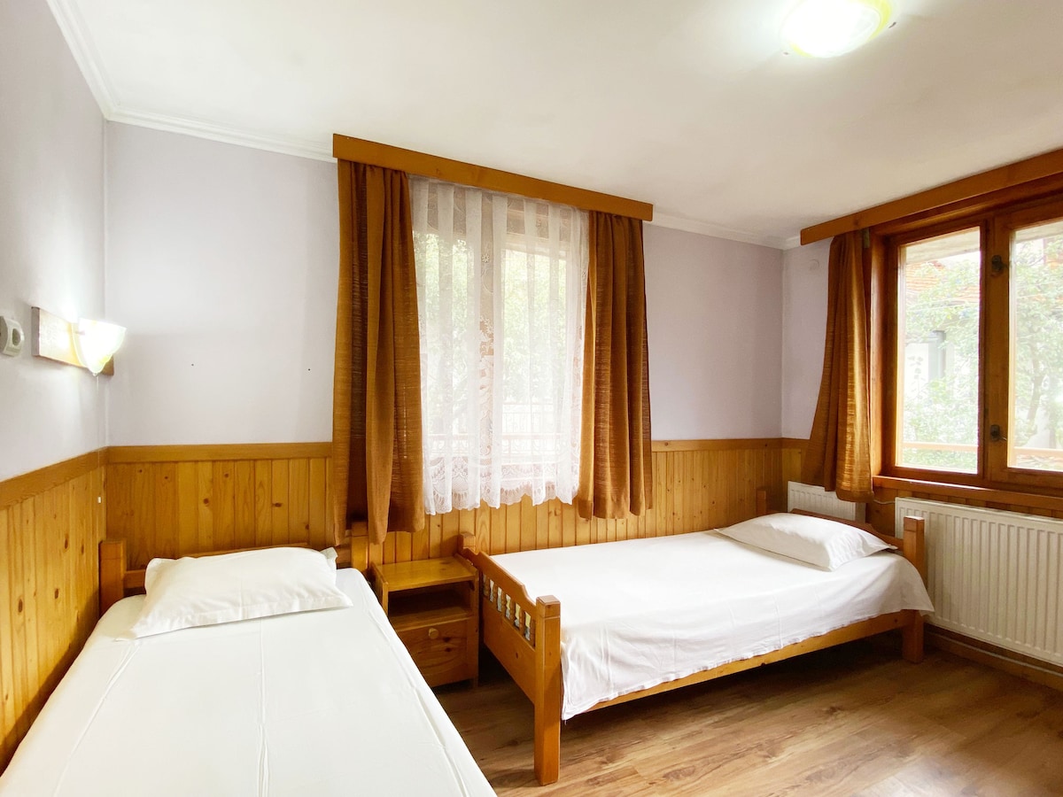 Downtown Bansko rooms - room 1