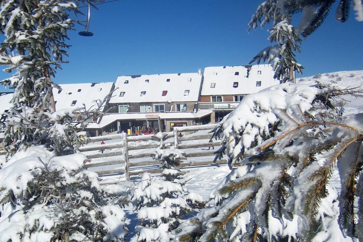 Appartement Chastreix Sancy au pied des pistes