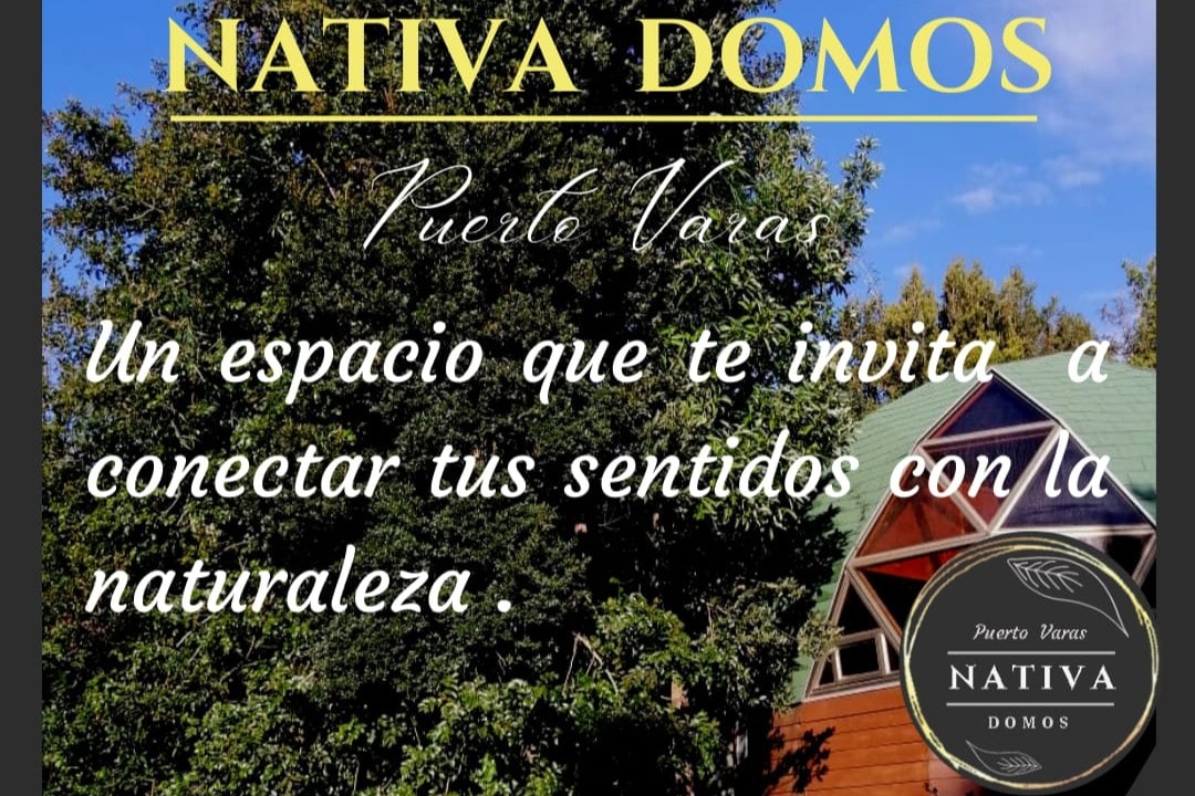 Domo Nativa Domos Puerto Varas