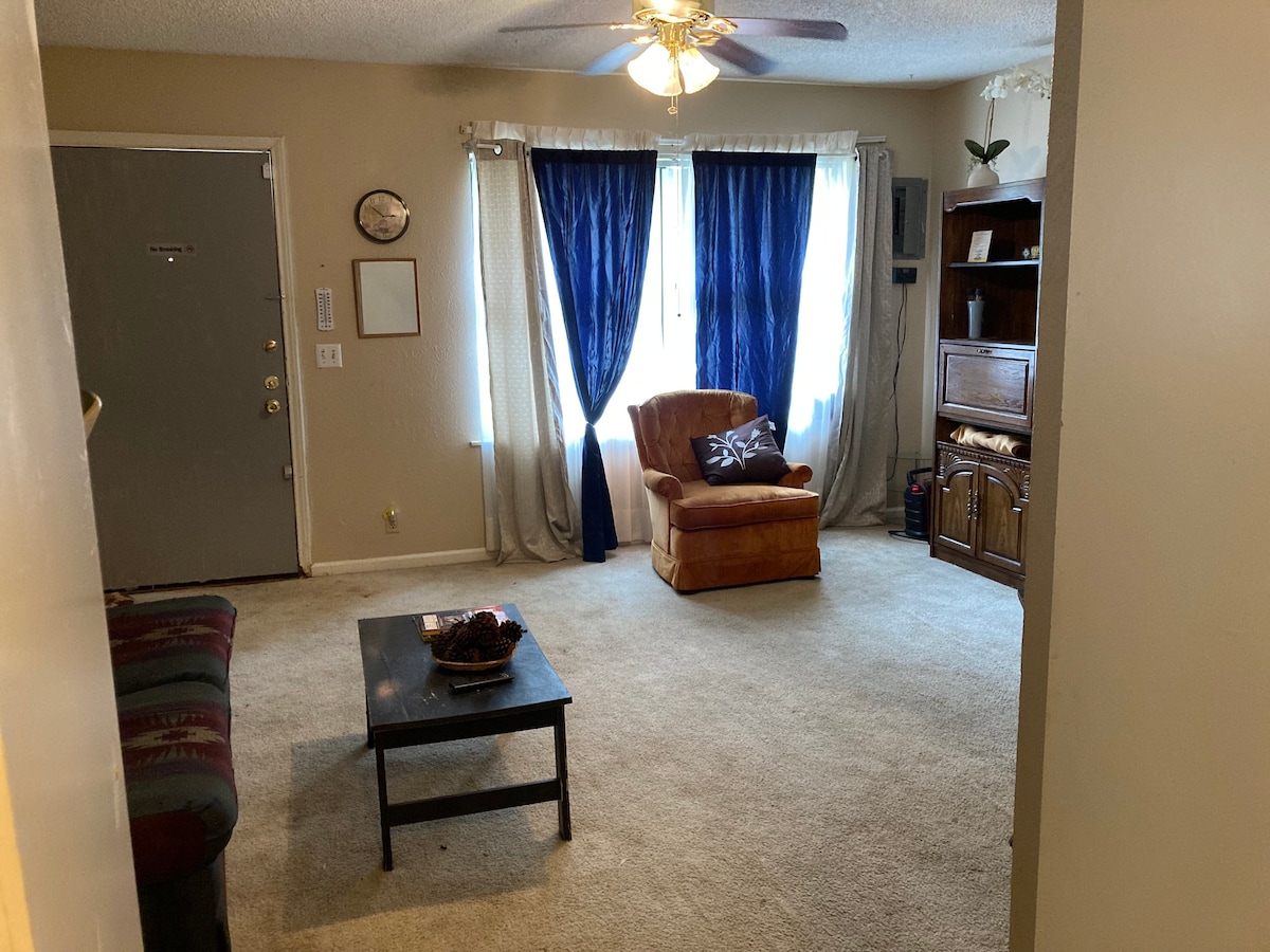 103-B Spacious Living Room/Family w/sofa bed for 2