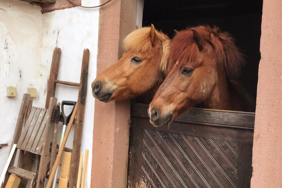 Auszeit auf charmantem Bauernhof