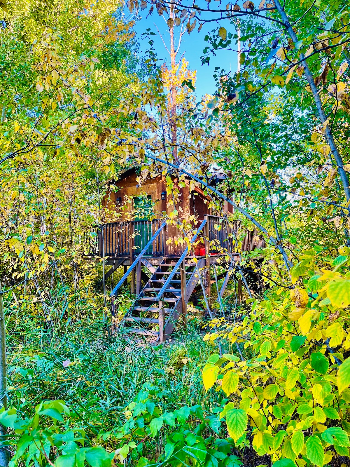 The Wildland Treehouse