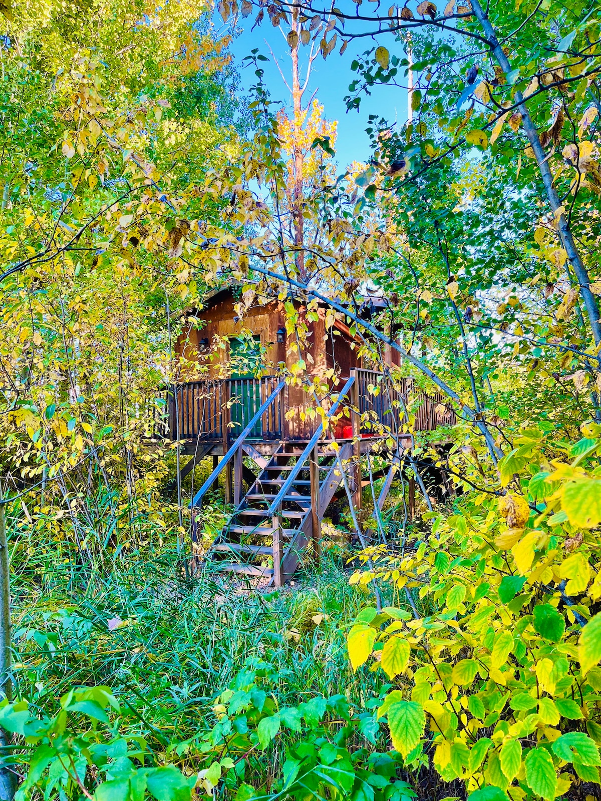 The Wildland Treehouse