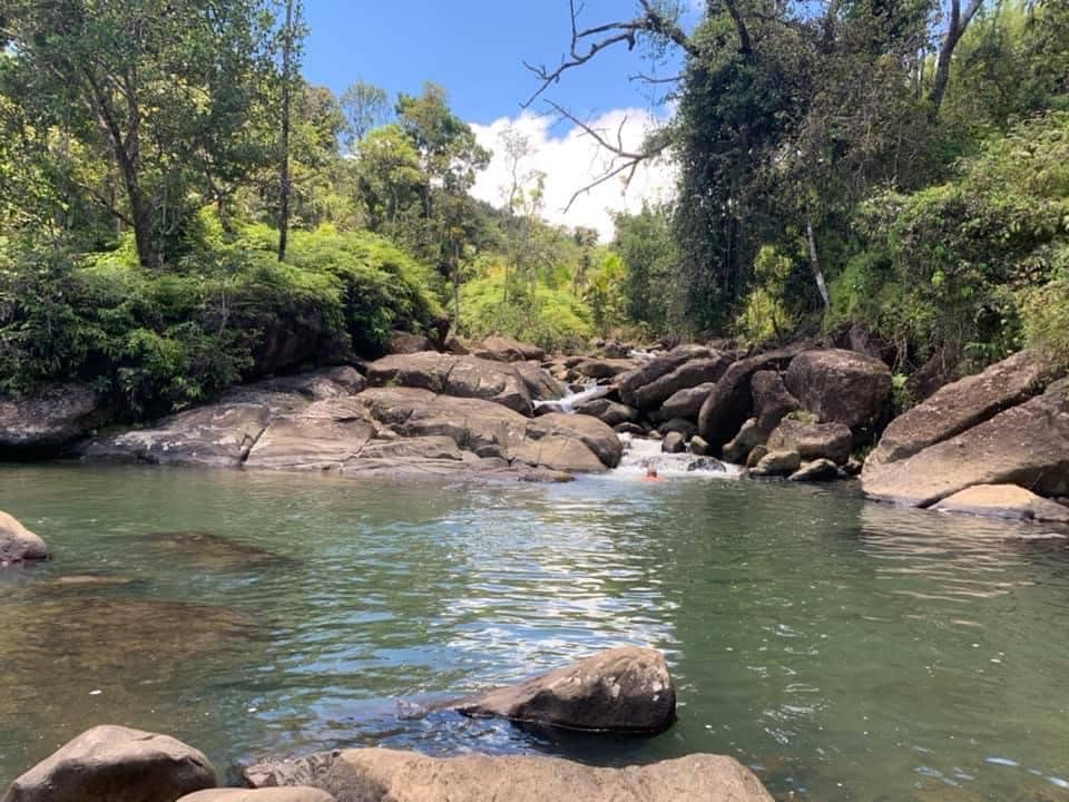 El Yunque Retreat - Rainforest