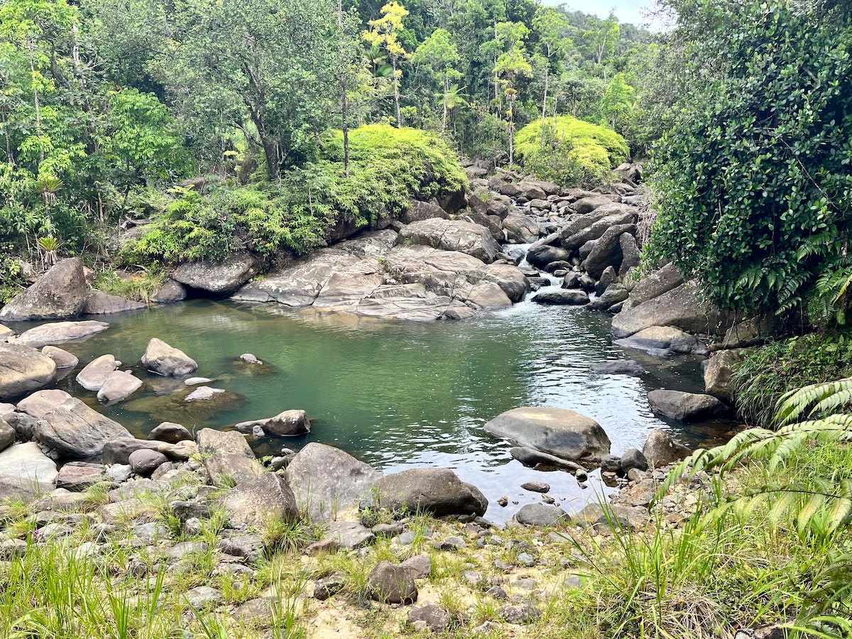 El Yunque Retreat - Rainforest