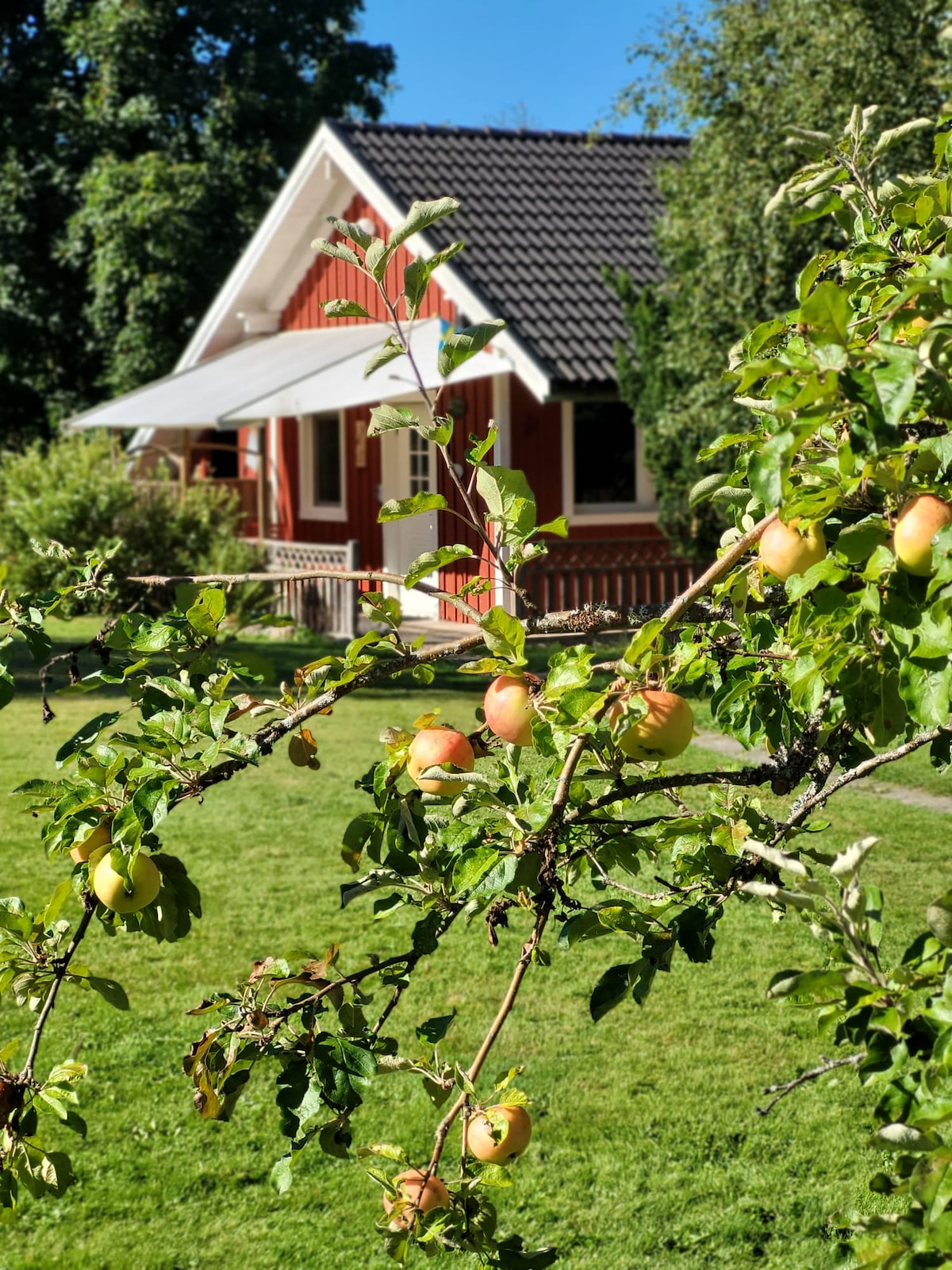 Ferienhaus Lönnern - Erholung in der Natur