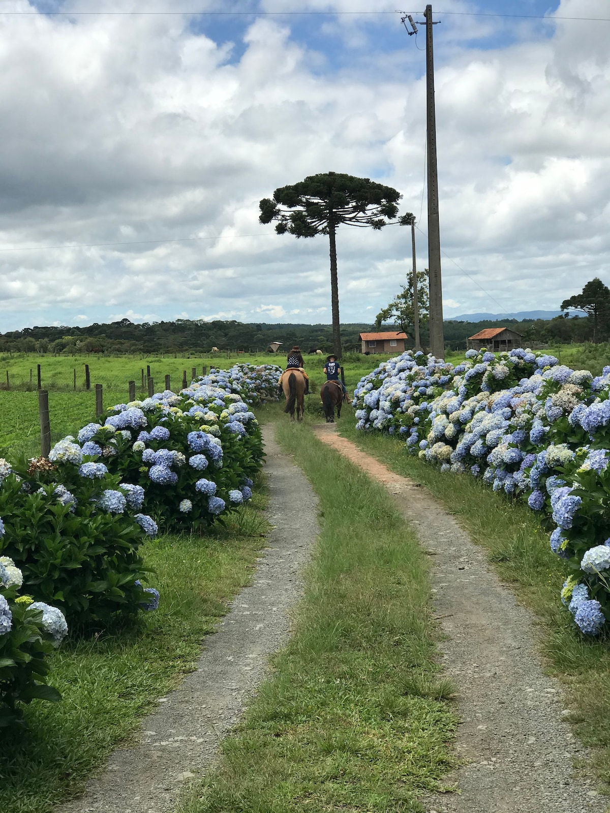 Recanto Paes (Casa de Campo na Serra)