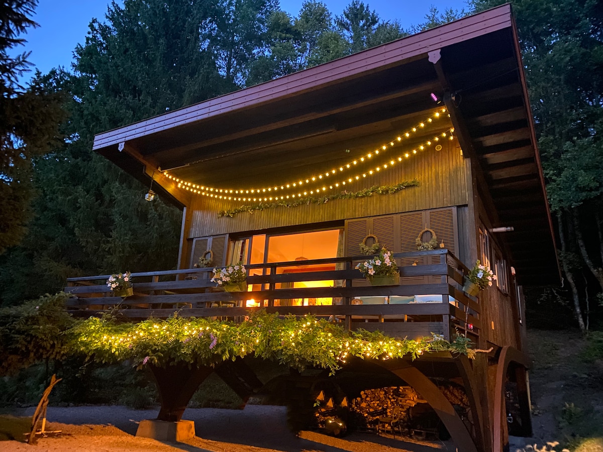 Chalet dans les Vosges "L 'Appel de la FORêT"