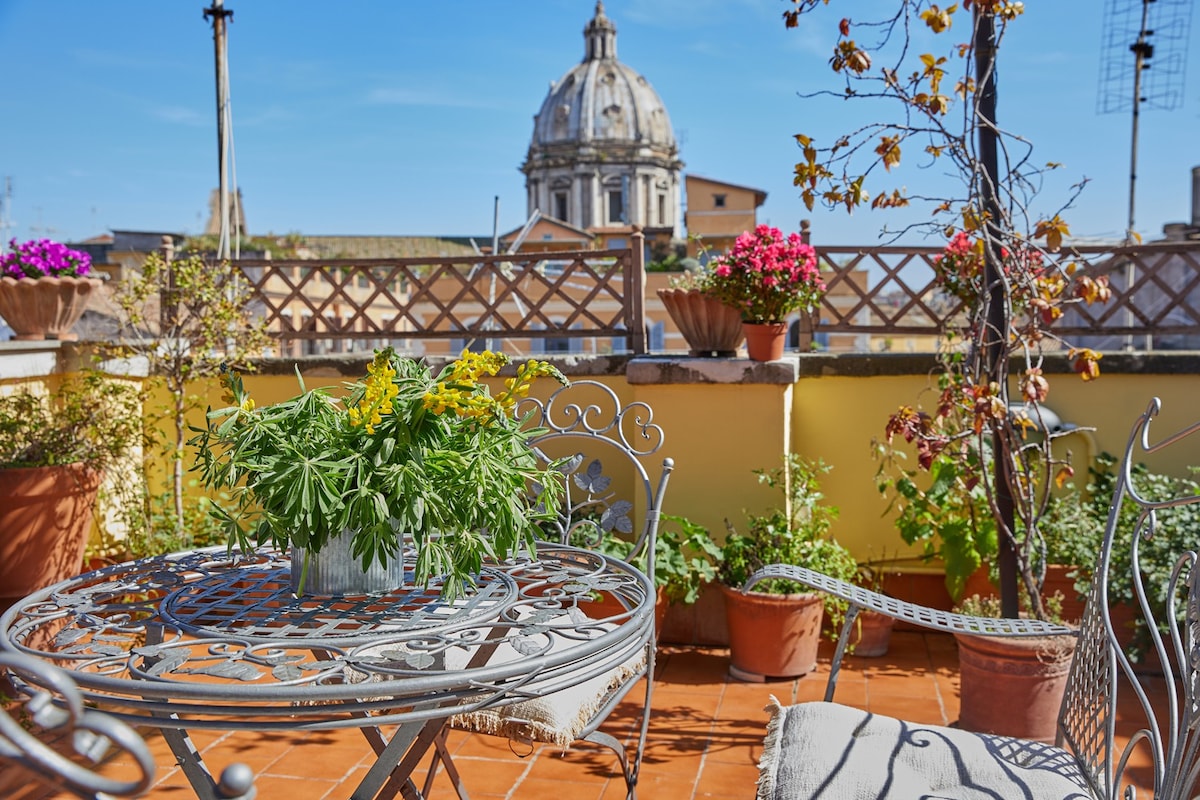 Beautiful Terrace with magic view Rome Center
