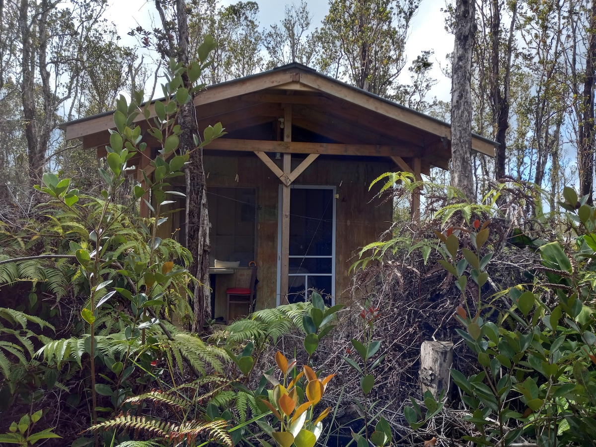 Misty Mountain Retreat Cabin Two