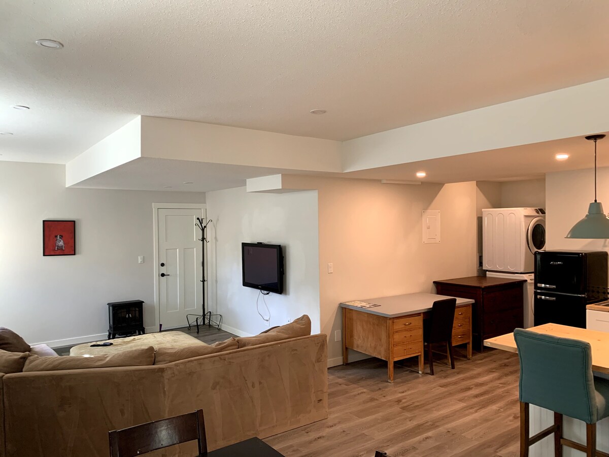 New, spacious one bedroom basement suite