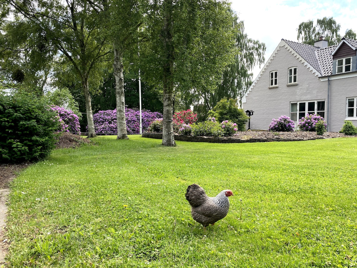 Lejlighed i rolige omgivelser med gratis parkering