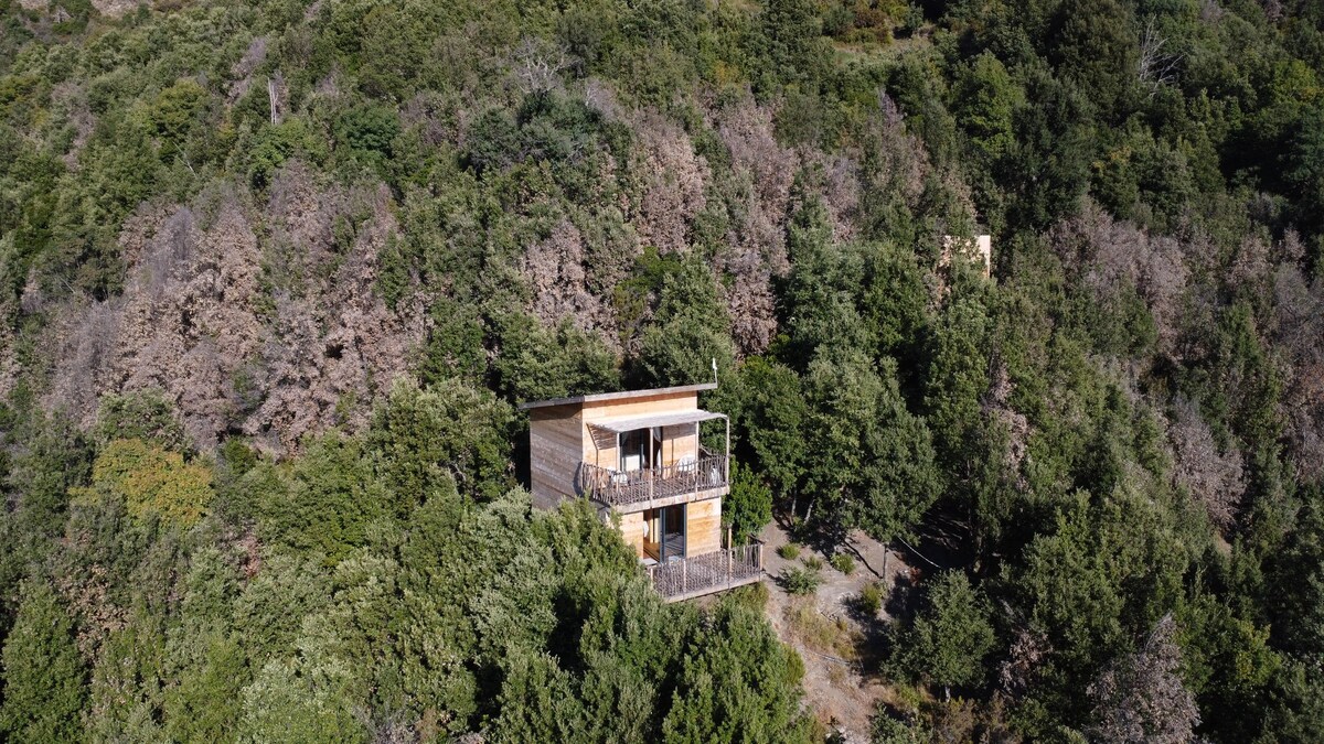 位于马基斯市中心的Ecolodge Cabane en Bois