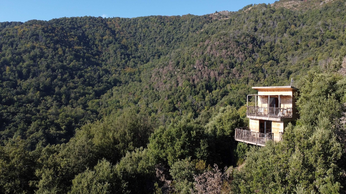 位于马基斯市中心的Ecolodge Cabane en Bois