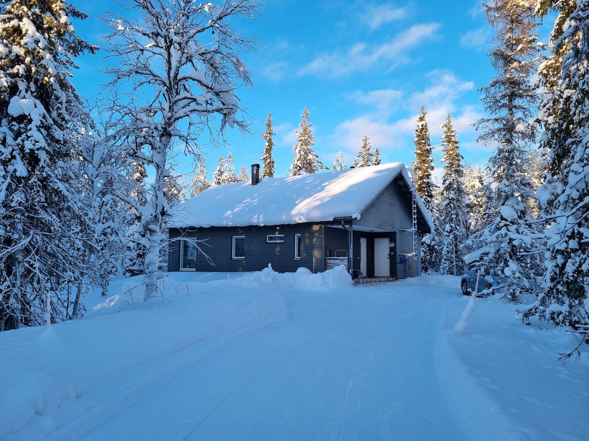 Ylläs Terhakka -适合任何口味的滑雪者小屋