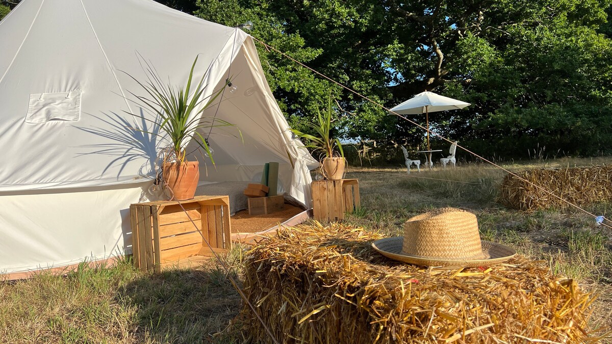 Amazing bell tent in the South Downs National Park