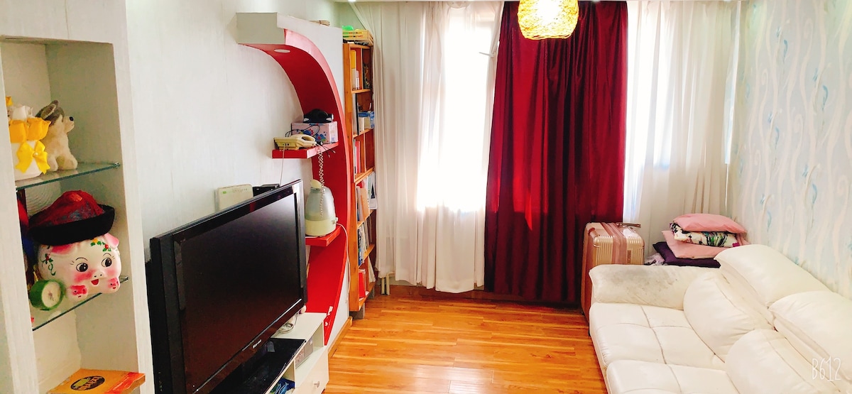 蒙古Choibalsan可爱的1卧室公寓
