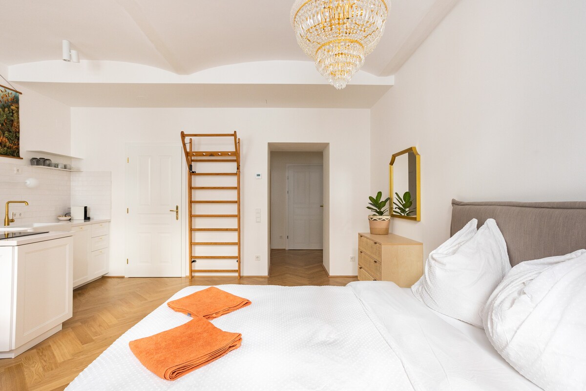 位于维也纳最好地区的历史悠久的公寓