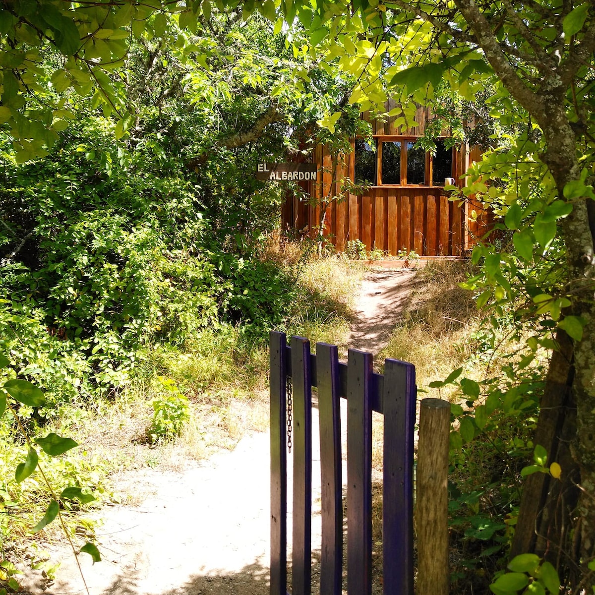 位于蓬塔印第奥原住民山的小木屋