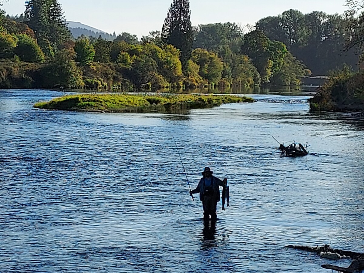 The Lewis River Salmon Shores