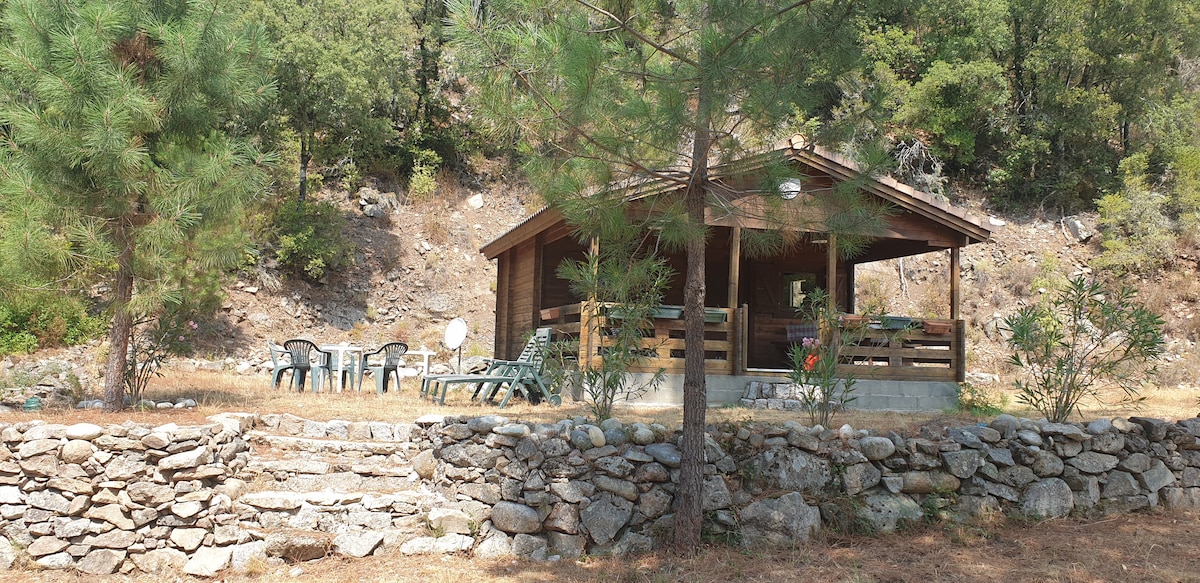 Le Chalet du Cruzzinu au bord de la rivière