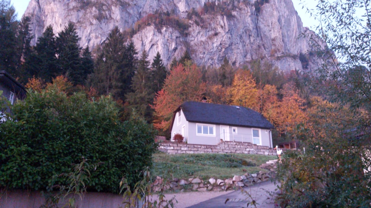 Gemütliches Haus Skigebiete erreichbar