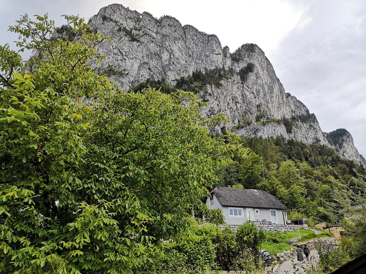 Gemütliches Haus Skigebiete erreichbar