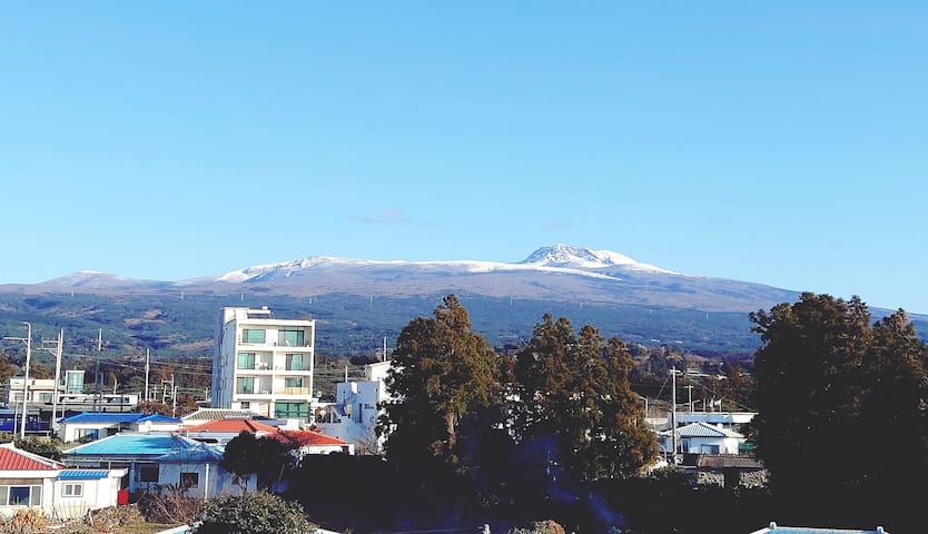 西归浦和市的民宿