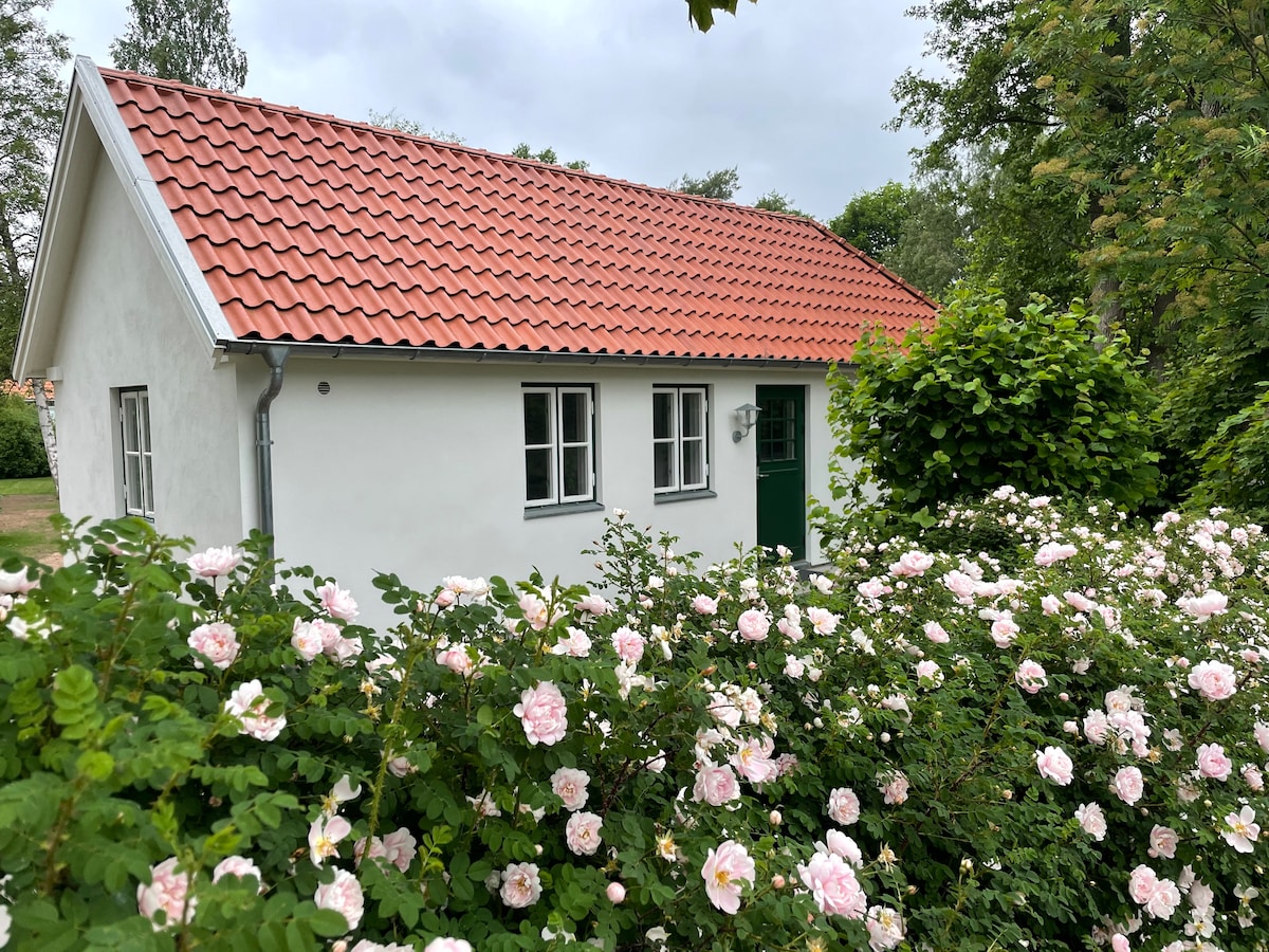 Gästhus vid skog och hav i populära Havsbaden