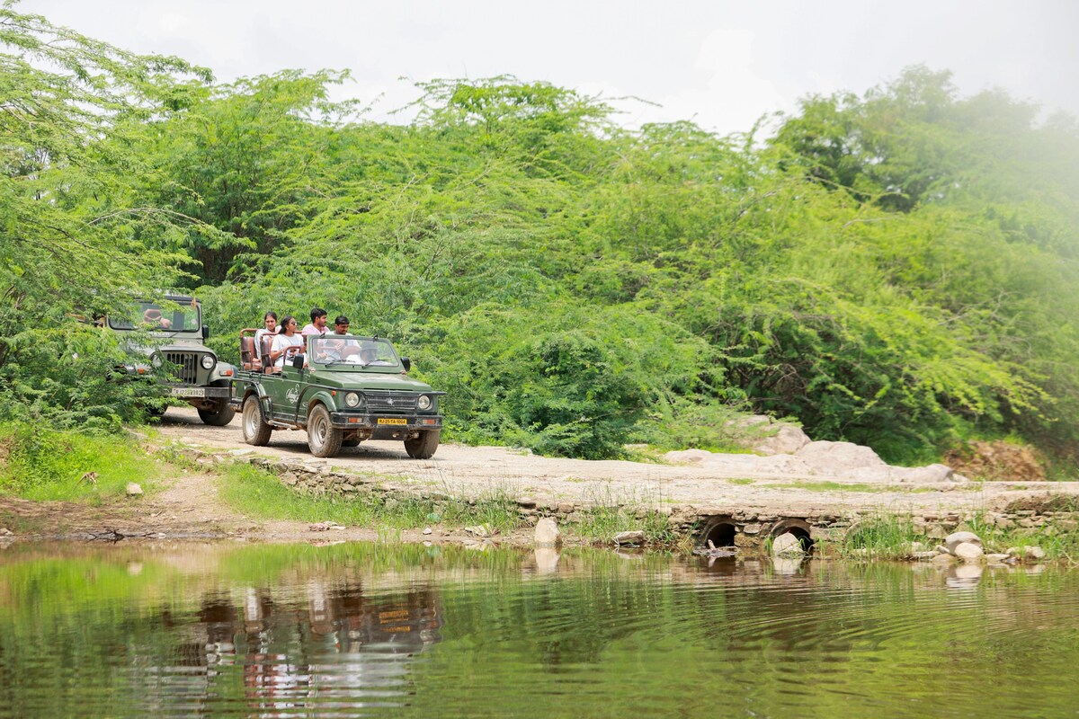 Sinny’s Leopard Camp