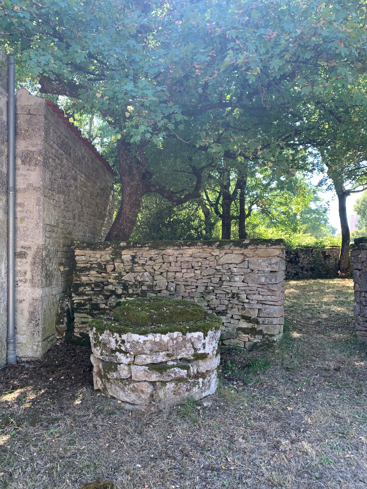 Gîte le Petit Fayolle - Petite maison chaleureuse