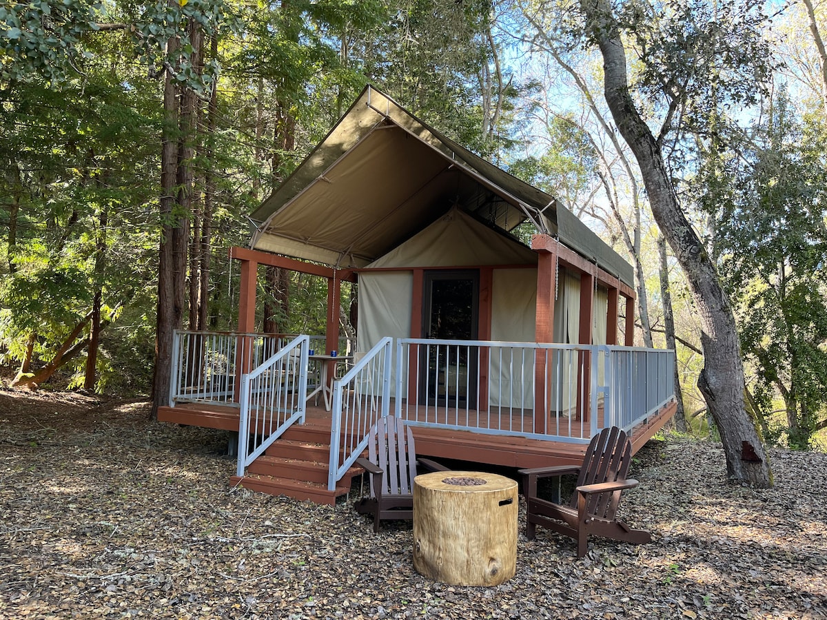 Safari Tent - Carmel Valley