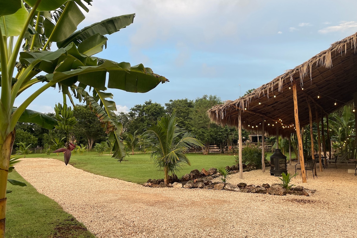 Cosy Tinyhouse à la Ferme au Cœur du Yucatán