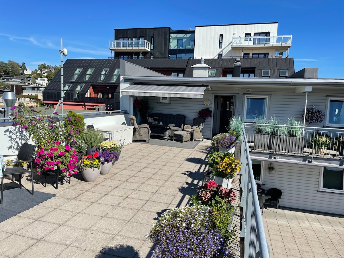 Sandefjord屋顶公寓！