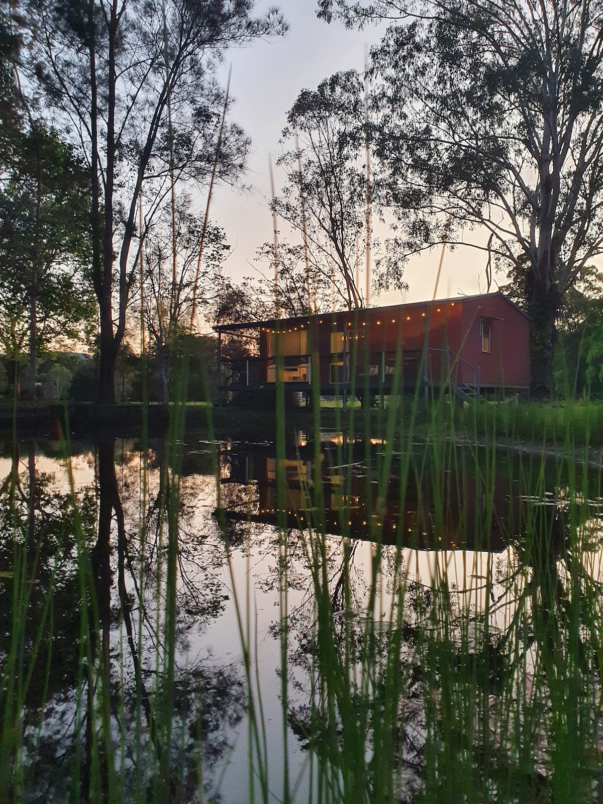 Home away from home in Eudlo - Gum Leaf Cabin