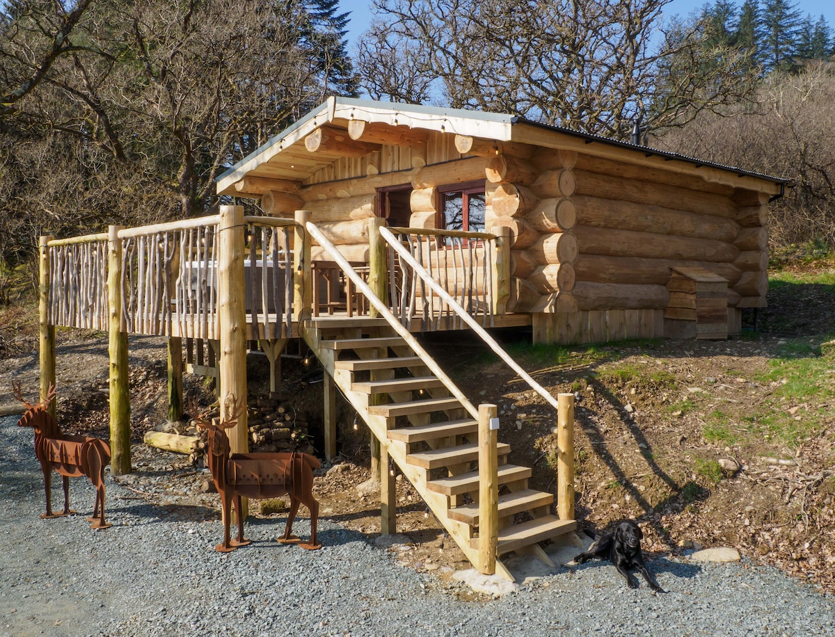 Spectacular Canadian style log cabin. Pine Marten